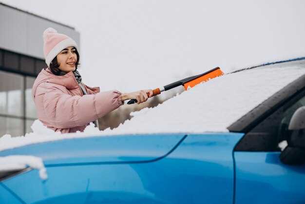 Step-by-Step Guide to Cleaning and Maintaining Wiper Blades