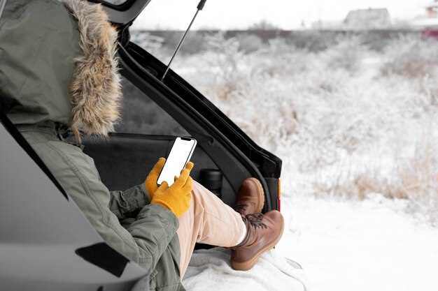 How to Prevent Mold in Your Car AC System